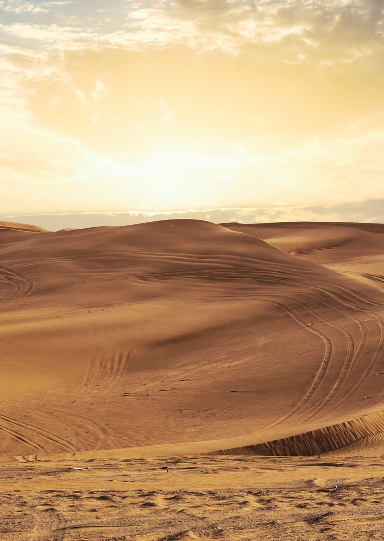 KASCHMIR-SCHAL Sahara