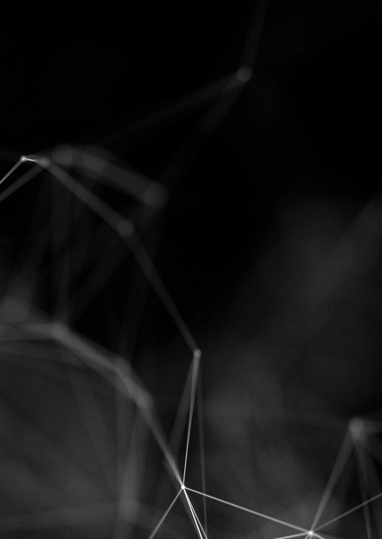 KASCHMIR-SCHAL Anthrazit · Silber