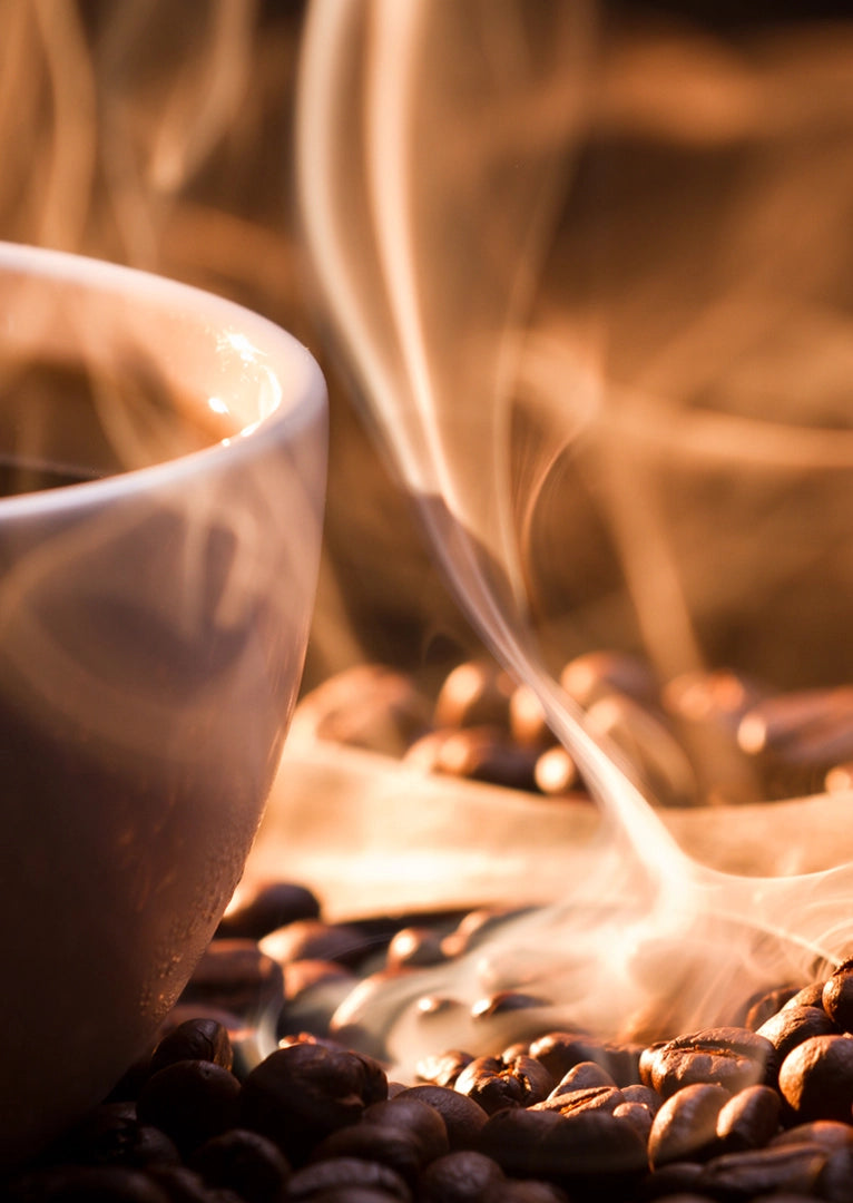KASCHMIR-SCHAL Kaffee · Caramel