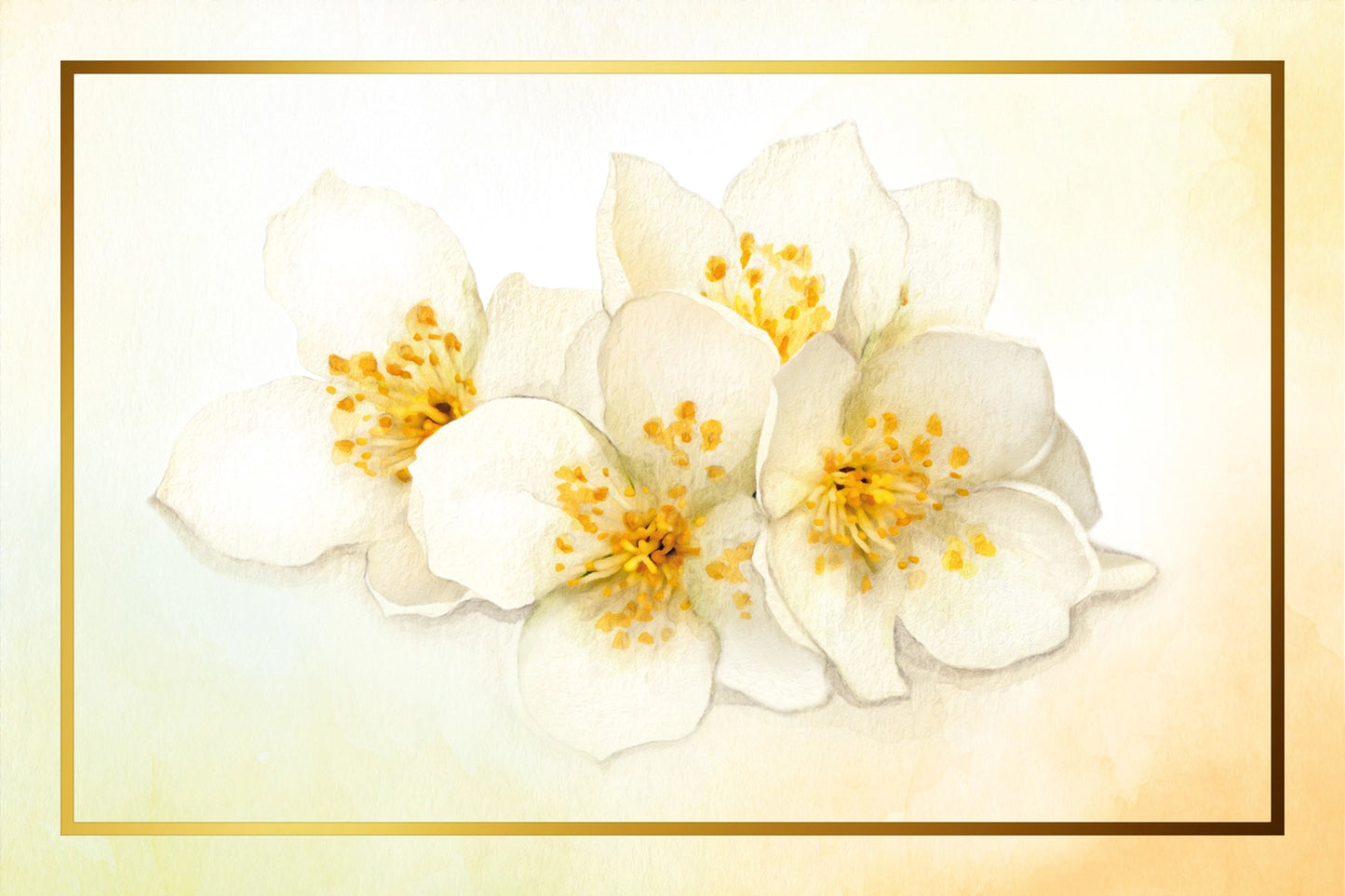 RAUMDUFT SPRAY Jasmine Flower