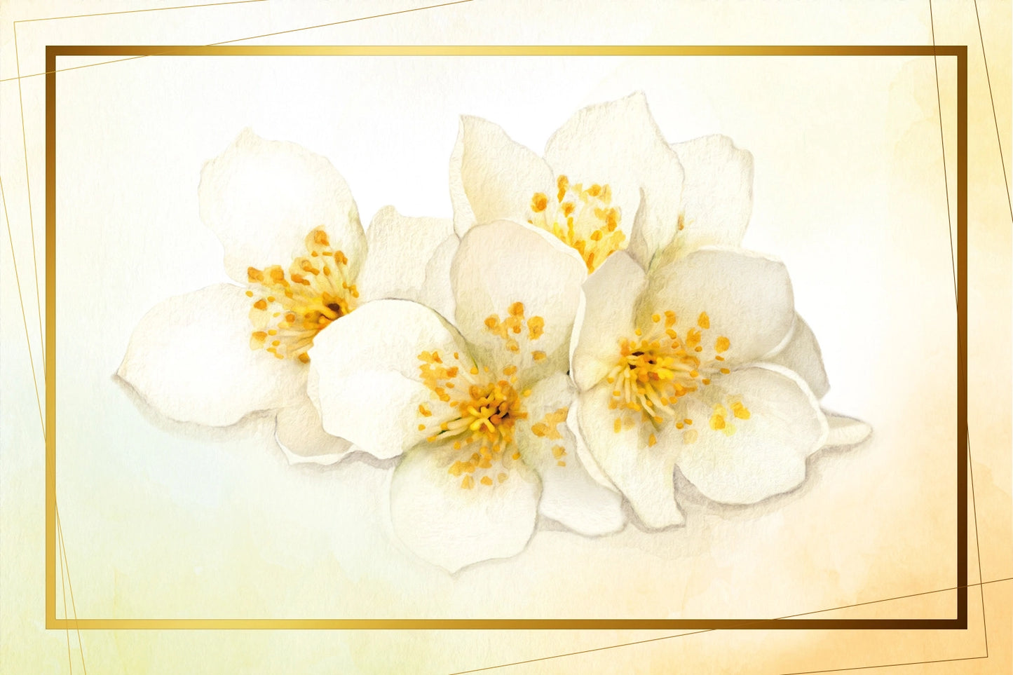 RAUMDUFT Jasmine Flower