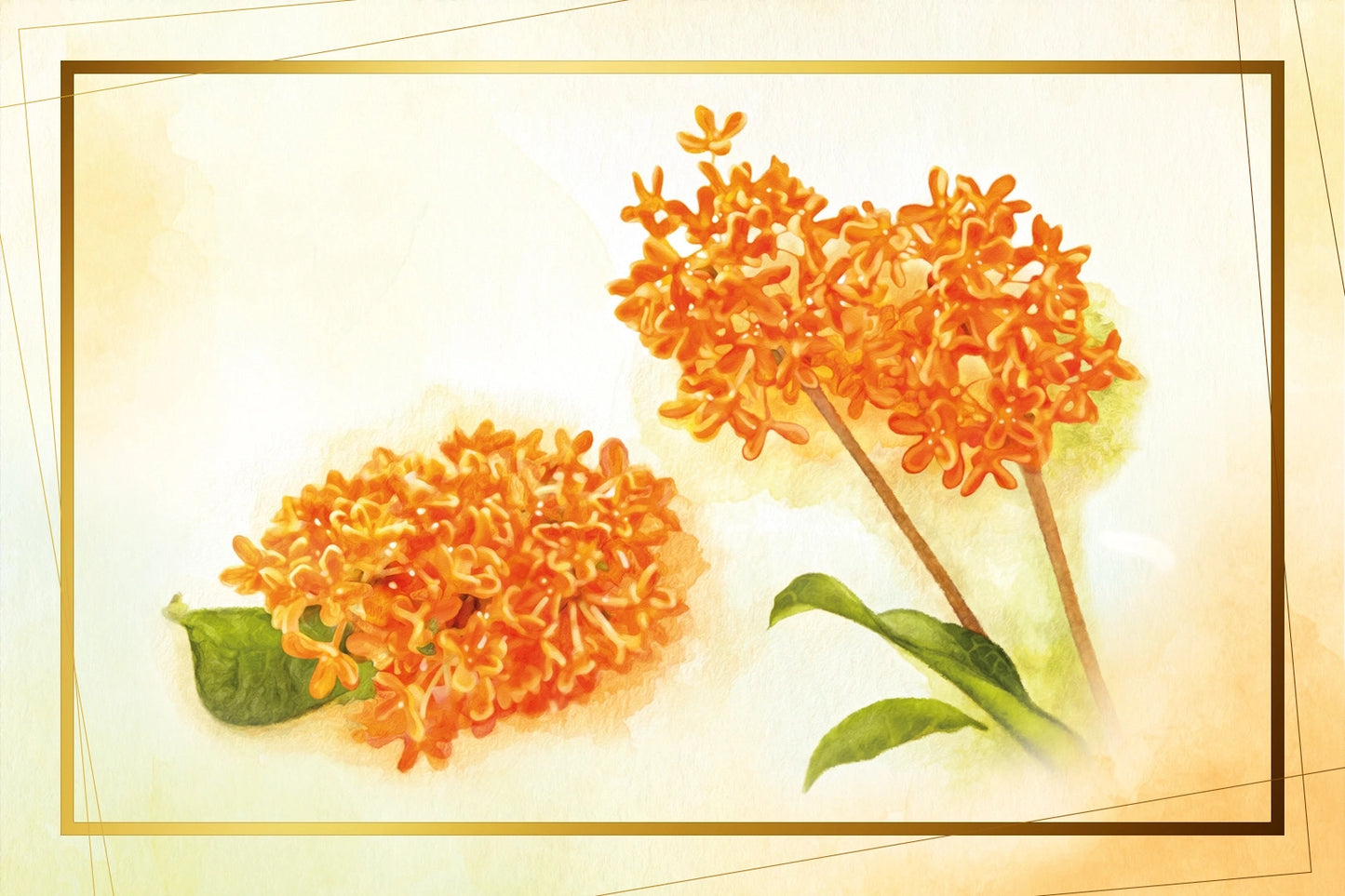 RAUMDUFT Osmanthus